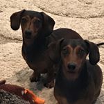 Profile Picture of Misty Mulkey (@mistymmulkey) on Instagram