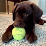 Profile Picture of Mack Kentavious Wagner (@mackkent16) on Instagram