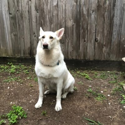 Profile Picture of Mike Rutledge (@MikeRutledge7) on Twitter