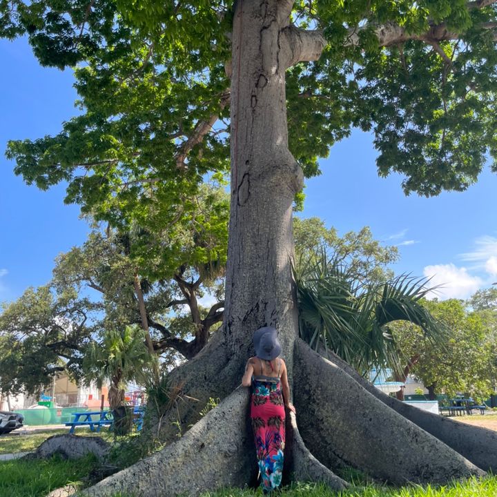 Lori Filippazzo Nuzz - Tiktok Profile Picture of Lori Filippazzo Nuzz (@lorifilippazzonuzzo) on Tiktok