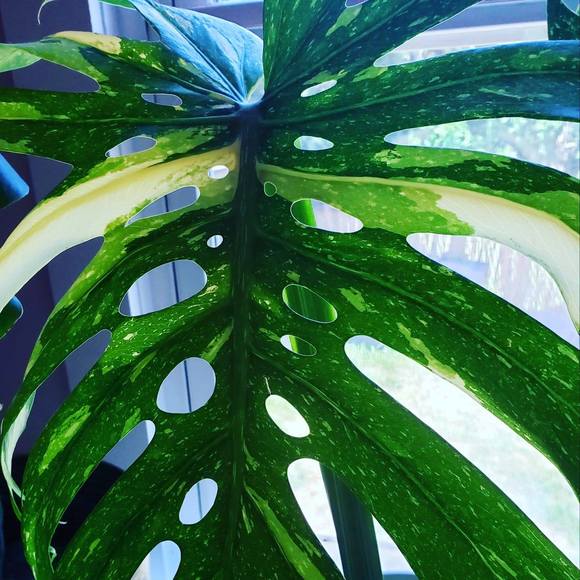 Profile Picture of Barbara Wiley (@barbarawiley203) on Poshmark