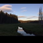 Profile Picture of Dennis Curry (@dennis.curry3) on Instagram