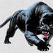Profile Picture of james Patterson (@pompeyjampat2803) on Pinterest