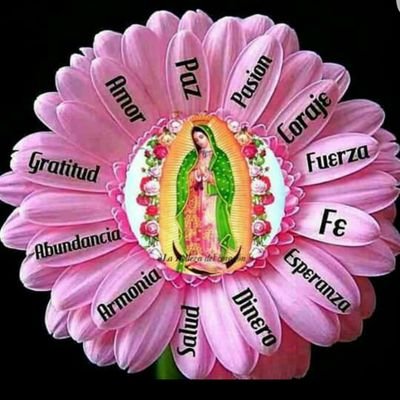 Profile Picture of Jeanne Alvarez (@jalvafa) on Twitter