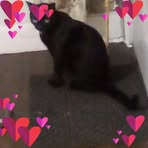 Profile Picture of Darryl Gauldin (@Darryl-Gauldin) on Facebook