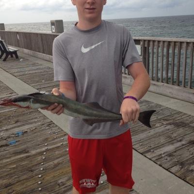 Profile Picture of Joseph Seagle (@FatherofGods2) on Twitter