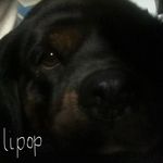 Annette Nolan - Instagram Profile Picture of Annette Nolan (@tahnee64) on Instagram