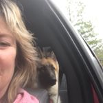 Profile Picture of Lisa Glidewell (@glidewell524) on Instagram