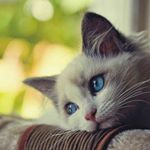 jordan - Instagram Profile Picture of jordan (@jodypugh123) on Instagram