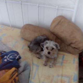 Profile Picture of Jerome Benavides (@jerome.benavides.75) on Facebook