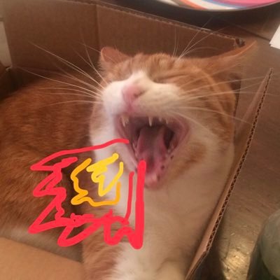 Profile Picture of Just Sam (@ThatSamBourne) on Twitter