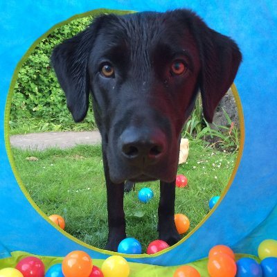 Profile Picture of Mark Gilder (@MarkGilder3) on Twitter