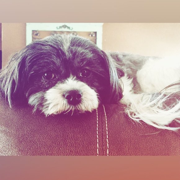 Profile Picture of Rylin Vruwink (@rylinvruwink) on Poshmark