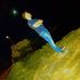Profile Picture of Ahmad Fayad (@ahmad.fayad.3701) on Facebook