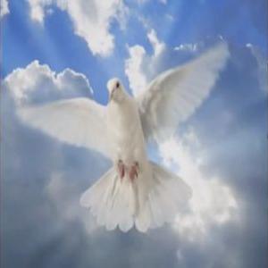 Profile Picture of Daniel Ascencio Muri (@AscencioMuri) on Twitter