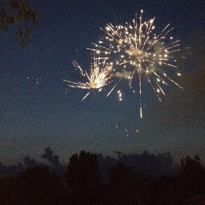 Profile Picture of Mark Sheedy (@Pigdikulus) on Twitter