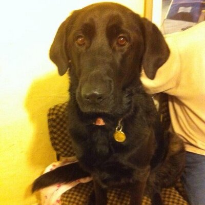 Profile Picture of Alan Weaver (@betsyandalan) on Twitter