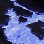 Profile Picture of Darryl Walker (@darrylwalker1663) on Instagram