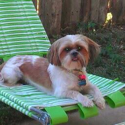 Profile Picture of Vicky Vaughn (@V586249) on Twitter