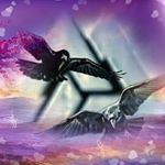 Profile Picture of Stefan Gerlach (@kraichgau_garfield) on Instagram