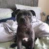 Profile Picture of Michaelk19 (@@michaelshark9) on Tiktok
