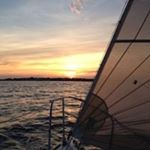 Profile Picture of Matt Schneck (@longshorematt) on Instagram