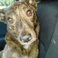 Profile Picture of Bobbie Light (@bobbie-light-1) on Quora