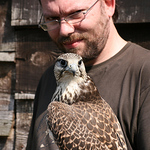 Profile Picture of Eric Salamin (@Harris_Hawk) on Flickr