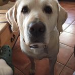 Mike Popiel - Facebook Profile Picture of Mike Popiel (@mike.popiel.7) on Facebook