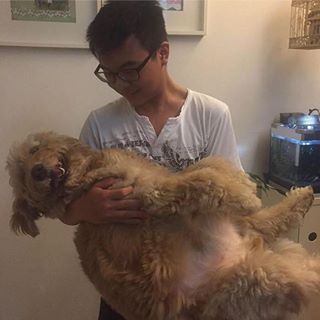 Profile Picture of Jeremy Soo (@Jarmysoo) on Facebook