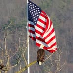 Profile Picture of Cory Vestal (@cory.vestal) on Facebook