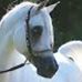 Profile Picture of Crystal Roush (@crystal.roush.71) on Facebook
