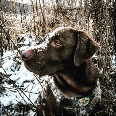 Profile Picture of Andy Knauff (@AndyKnauff) on Twitter