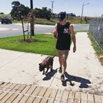 Profile Picture of MICHAEL VESETAS (@vesetas) on Instagram