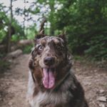 Profile Picture of Stan Carroll (@rodgerle.u_schke) on Instagram