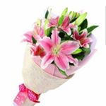 Profile Picture of Robert Benedict (@robert.benedict.9003) on Instagram