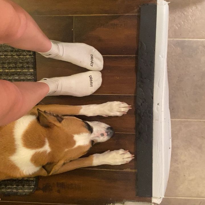 Profile Picture of 💀Jordan💀 (@jordan_istoswag) on Tiktok