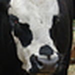 Profile Picture of Pixrtruckr (@pixrtruckr) on Flickr