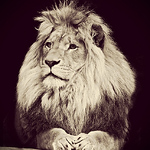 Profile Picture of Luis Guillermo Pacheco Castillo (@luis.pcastillo) on Flickr