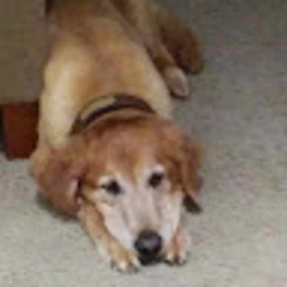 Profile Picture of Miun Criffield (@mimiun) on Poshmark