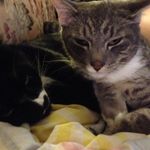 Profile Picture of Darcy Duncan (@darcy_duncan) on Instagram