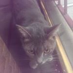 Profile Picture of Jason B Cherry Jr. (@cherryjr.jason) on Instagram