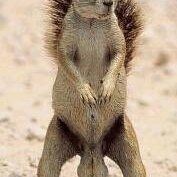 Profile Picture of Jeff Dunne (@jeffdunne) on Myspace
