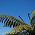 Profile Picture of Bethan and Jeremy Dempster and Taylor (@jeznbetty) on Flickr