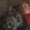 Profile Picture of davidschlesinger75 (@@davidschlesinger75) on Tiktok