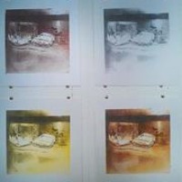 Profile Picture of Connor Maguire (@connor-maguire-1) on Quora