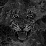 Profile Picture of blake (@theblakesterman) on Instagram