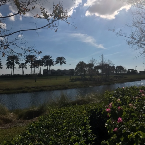 Brianna Carela - Poshmark Profile Picture of Brianna Carela (@briannasells2u) on Poshmark