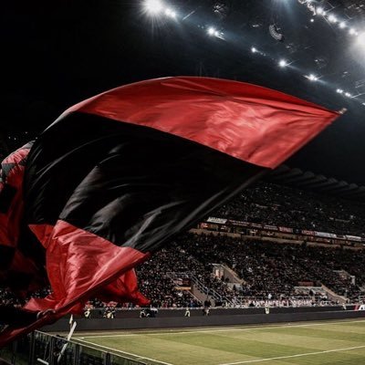 Profile Picture of Alex (@RegioPerfecto) on Twitter