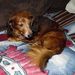 Profile Picture of Brian Strouse (@doc7411) on Pinterest